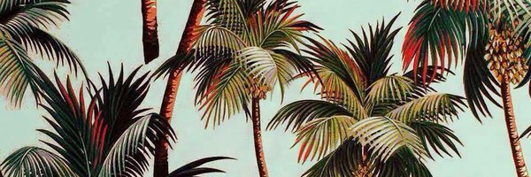 cpinno Profile Banner