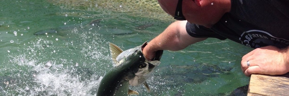 Andy McLaughlin🇺🇸 banner