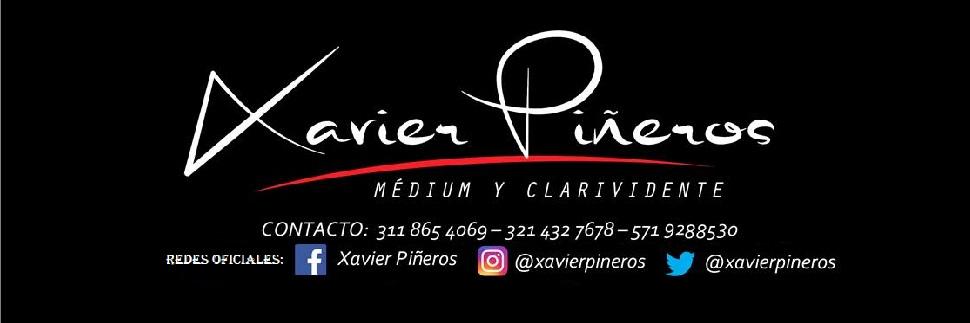 XAVIER PIÑEROS banner