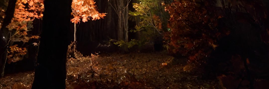 Lor_H's profile banner image
