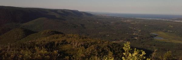 Scally_Dave Profile Banner