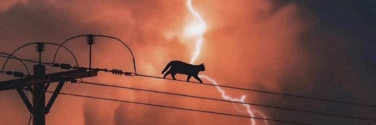 RevoltassoF's profile banner image