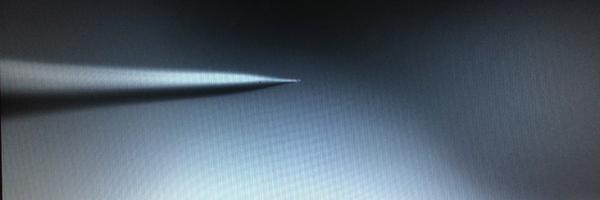 FriedmanLab Profile Banner