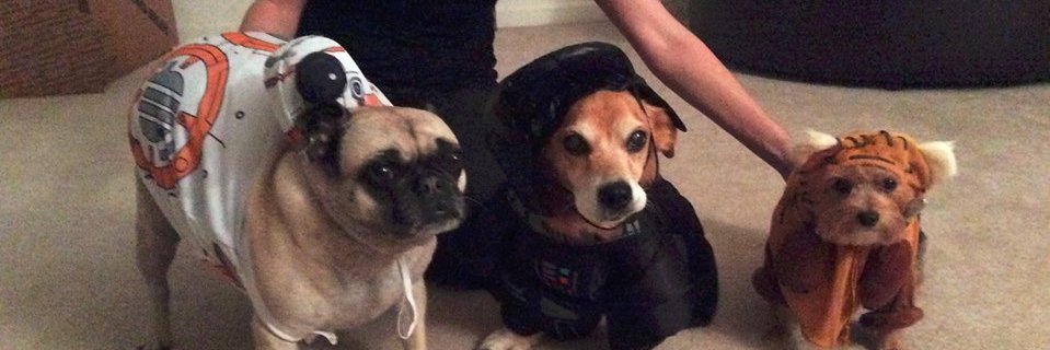 ZachSellsMagic's profile banner image
