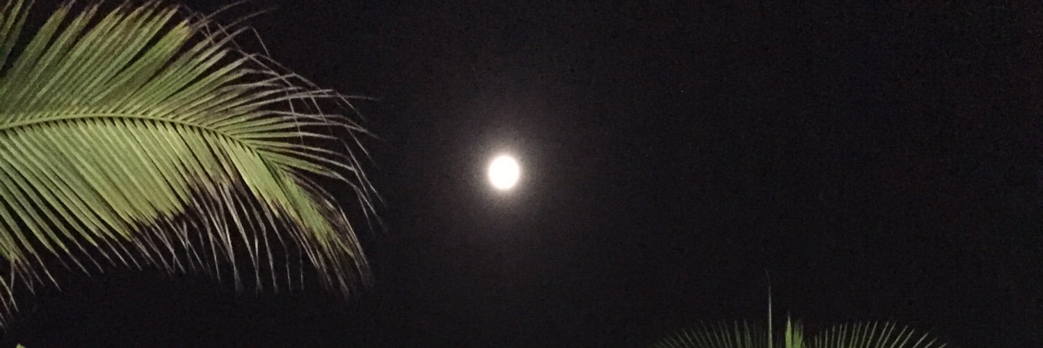 Mariam685's profile banner image