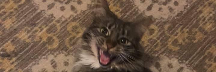 FairySmutMother banner