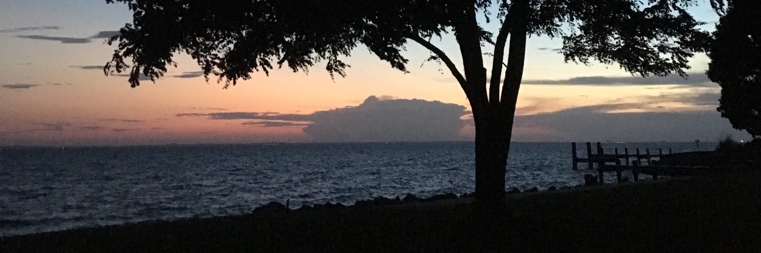 MrsDoaty's profile banner image