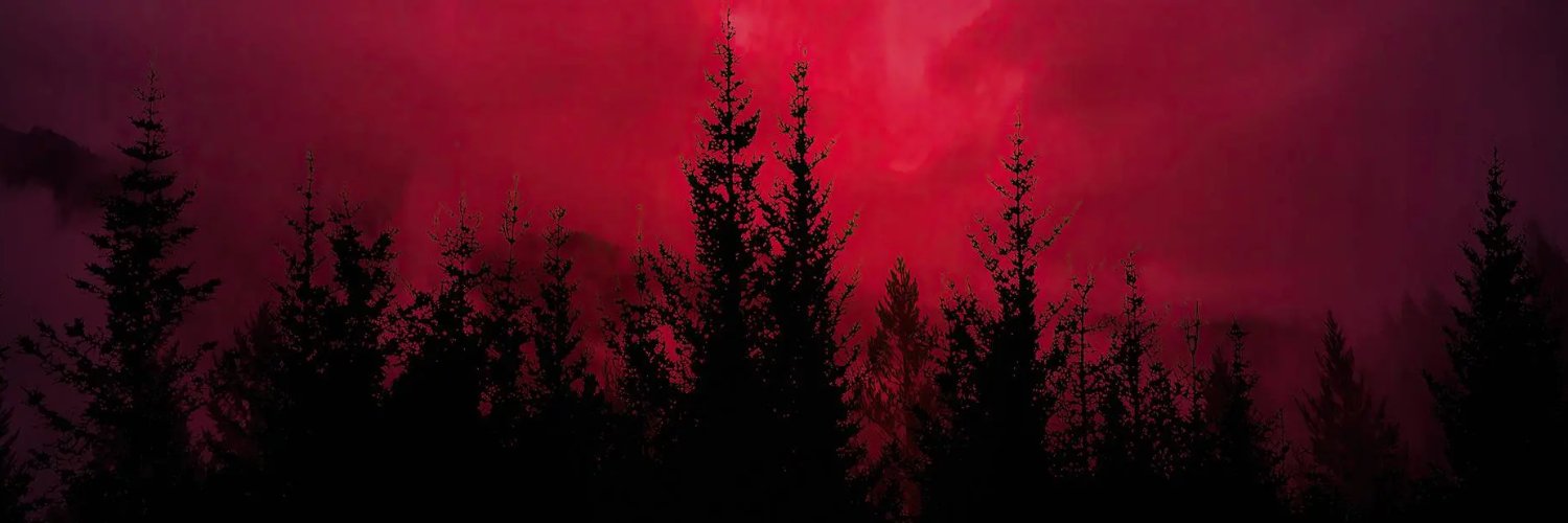 xPitchh's profile banner image