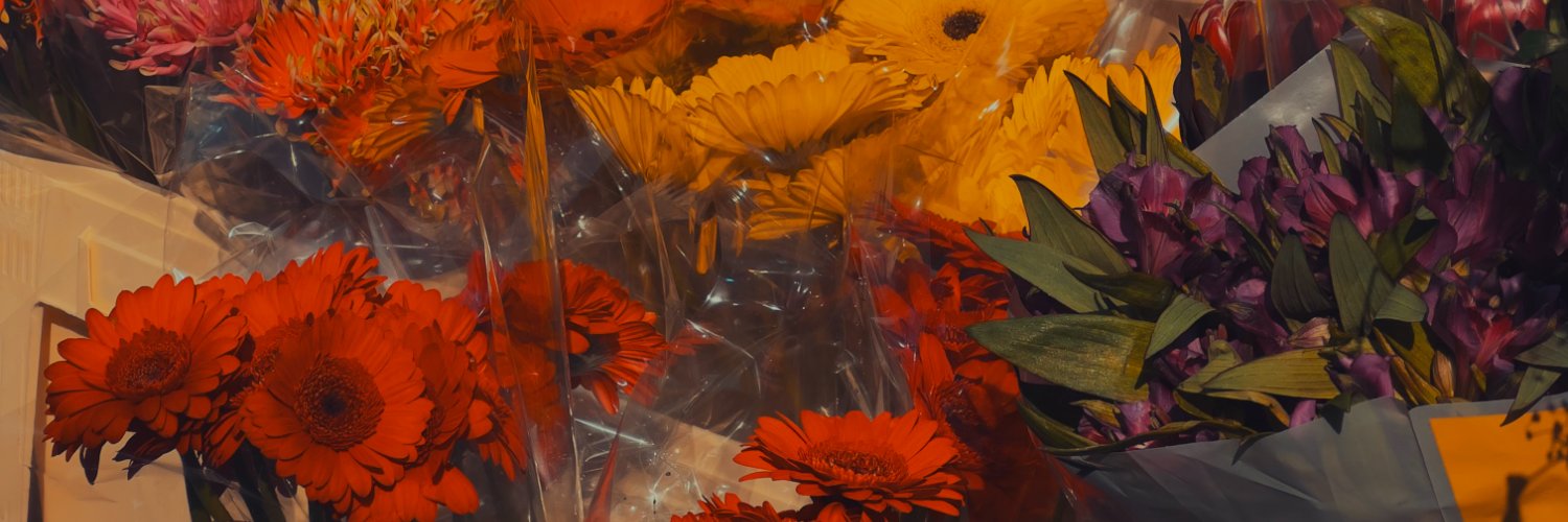 Bobby Solomon banner