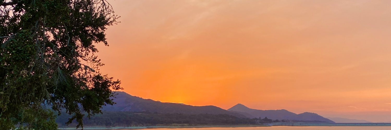 Mizzle. banner