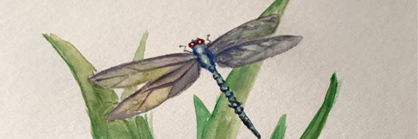 Jme_Dvs Profile Banner