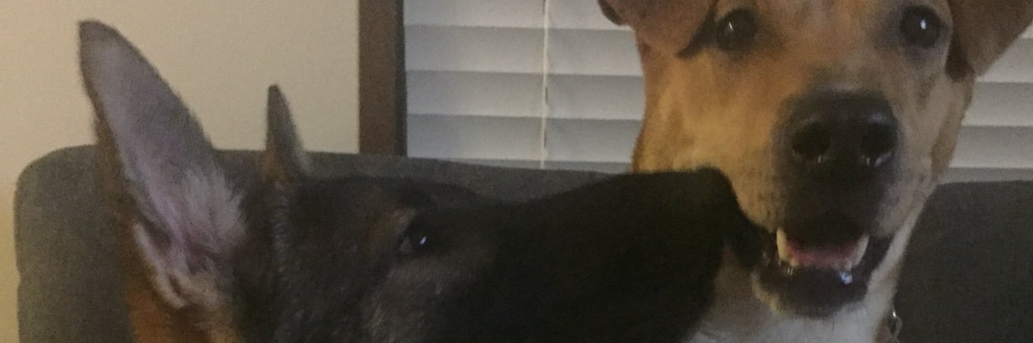 Daisy_Jasmin's profile banner image