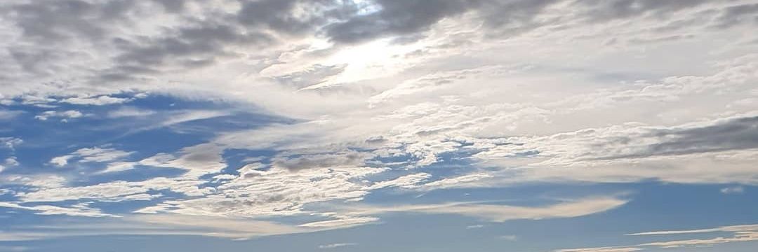 ShirleySald's profile banner image
