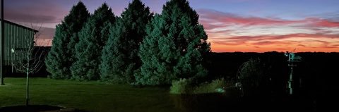 rhondaveit's profile banner image