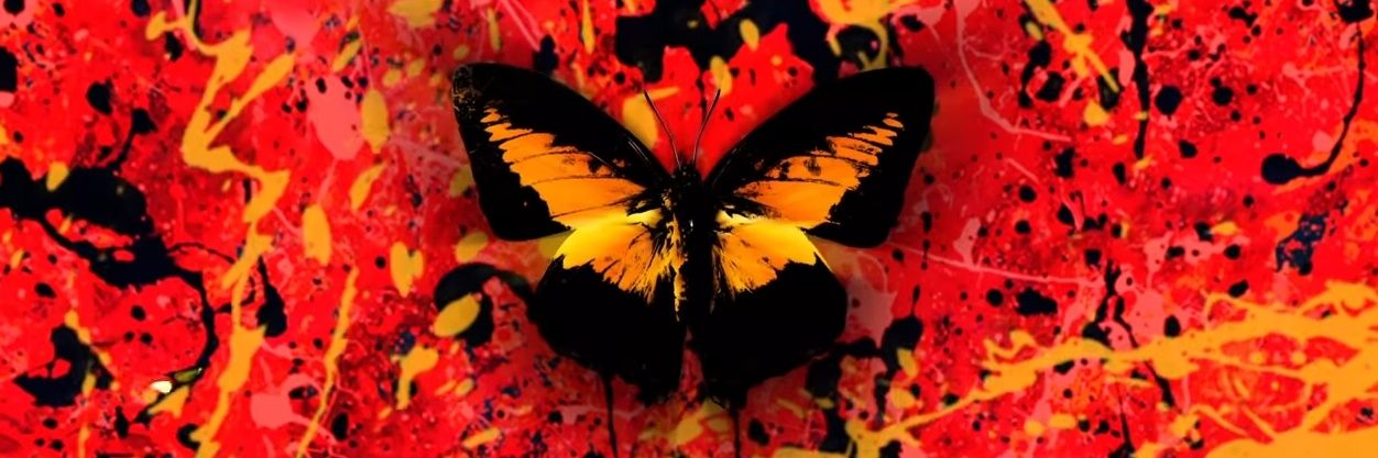 sheeriostar's profile banner image