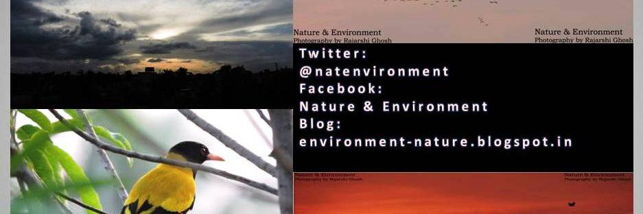 NatEnvironment's profile banner image