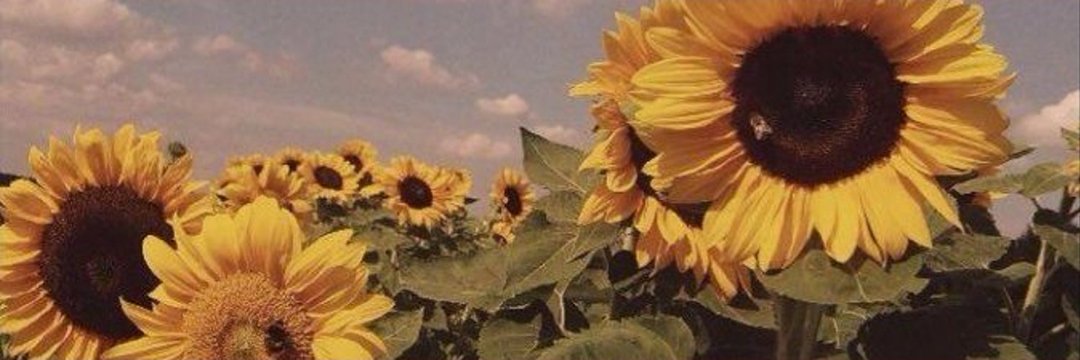 PaulaBodega's profile banner image