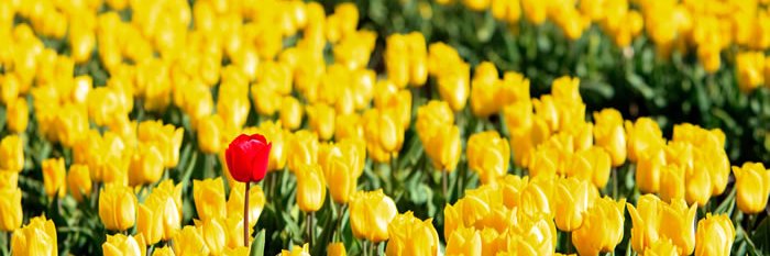 Darsh_Arun's profile banner image