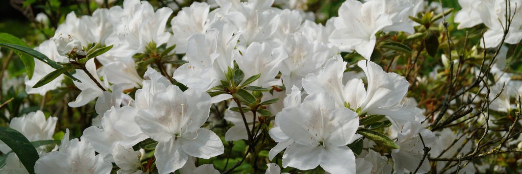 Antlady69's profile banner image