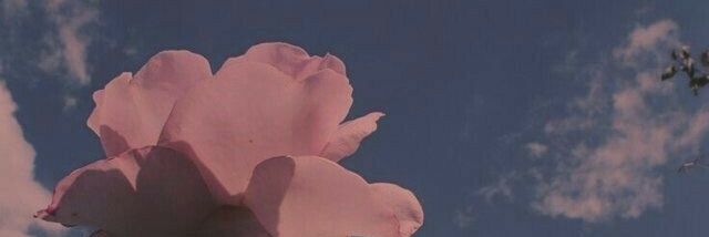 Heba_B975's profile banner image