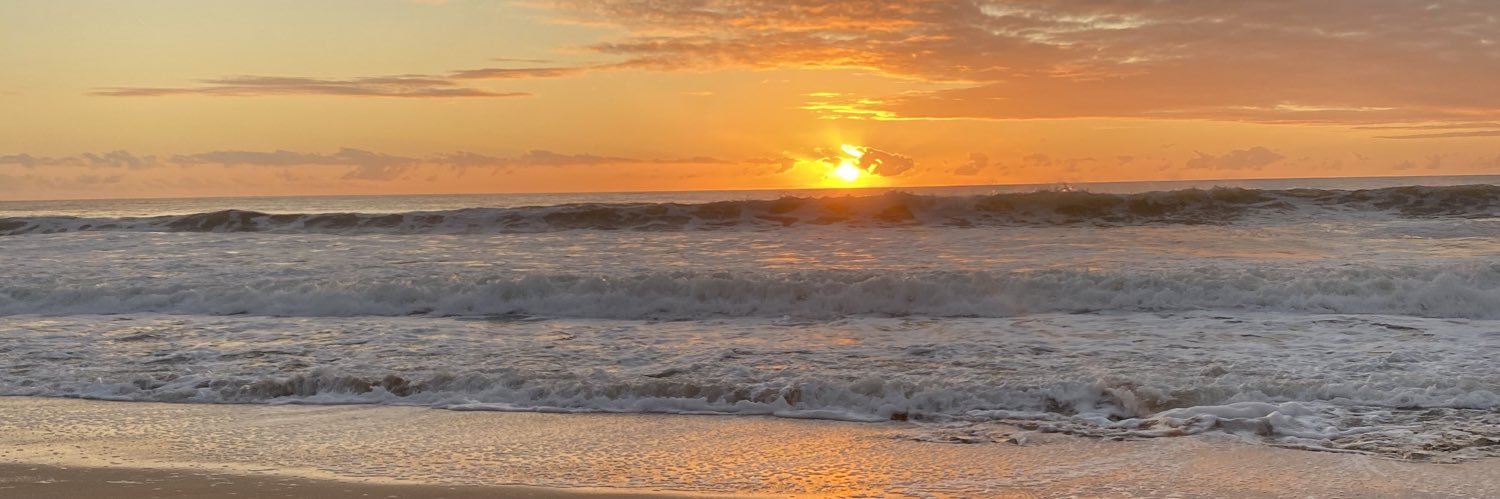 Will Schofield banner