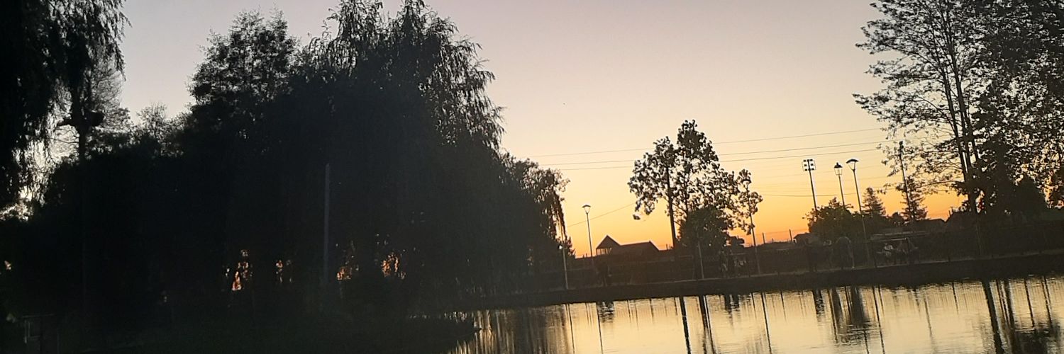 danielapavezriv's profile banner image