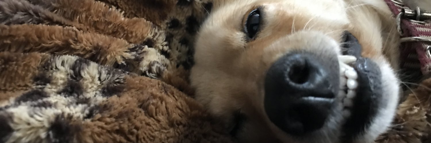 jujuzbt's profile banner image