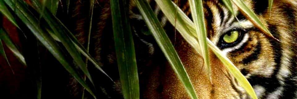 harryDamon's profile banner image
