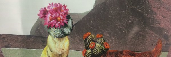 Catherine_Zen Profile Banner