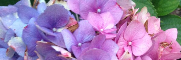 TCMoulton Profile Banner