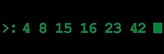 🌞msflipper*me🌴 banner