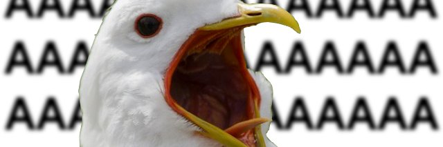 UhPoro's profile banner image