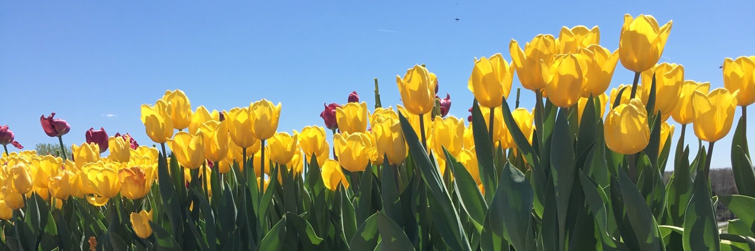 gzalogridis's profile banner image