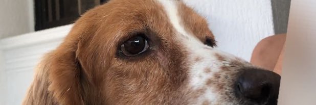 CateLopez1's profile banner image