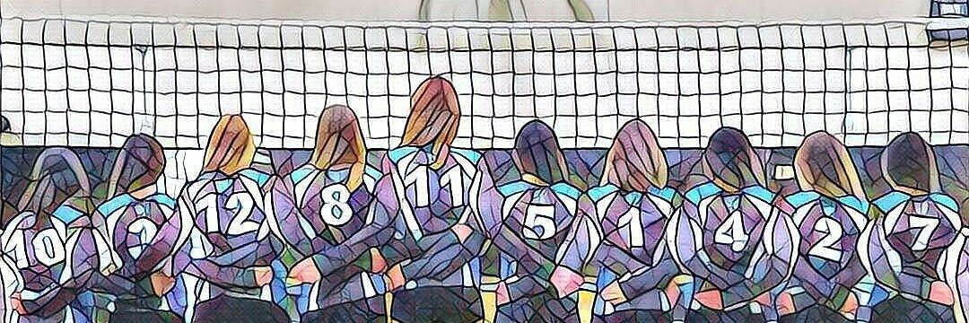 MVCSVolleyball's profile banner image