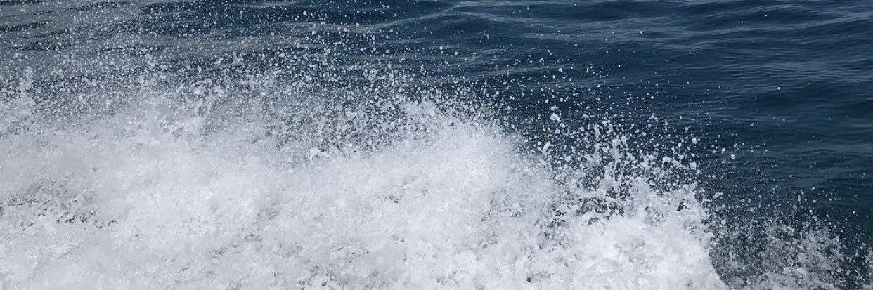 ErinEvg's profile banner image
