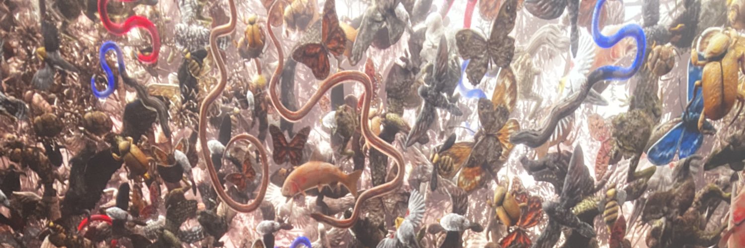 isa_acrobat's profile banner image
