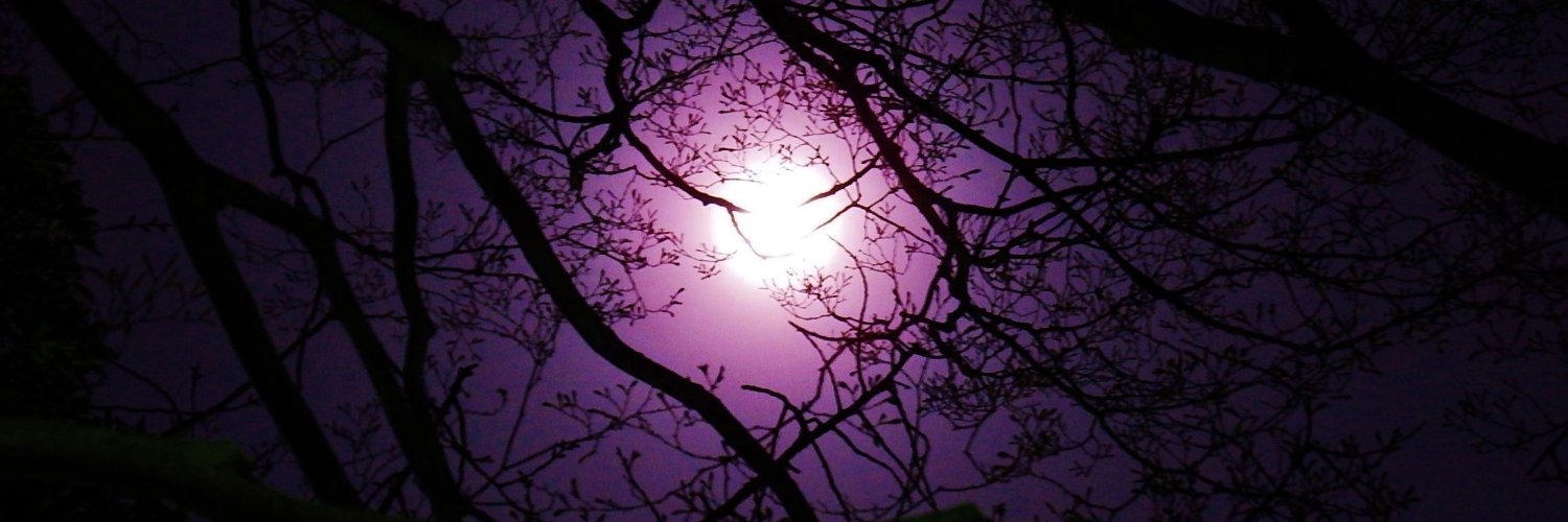 Alarenren's profile banner image