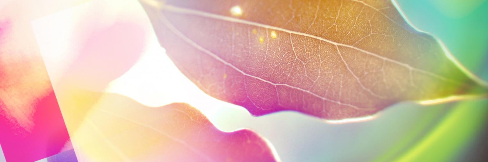 gilmourgal's profile banner image
