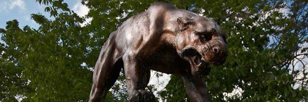 PittBorghetti Profile Banner