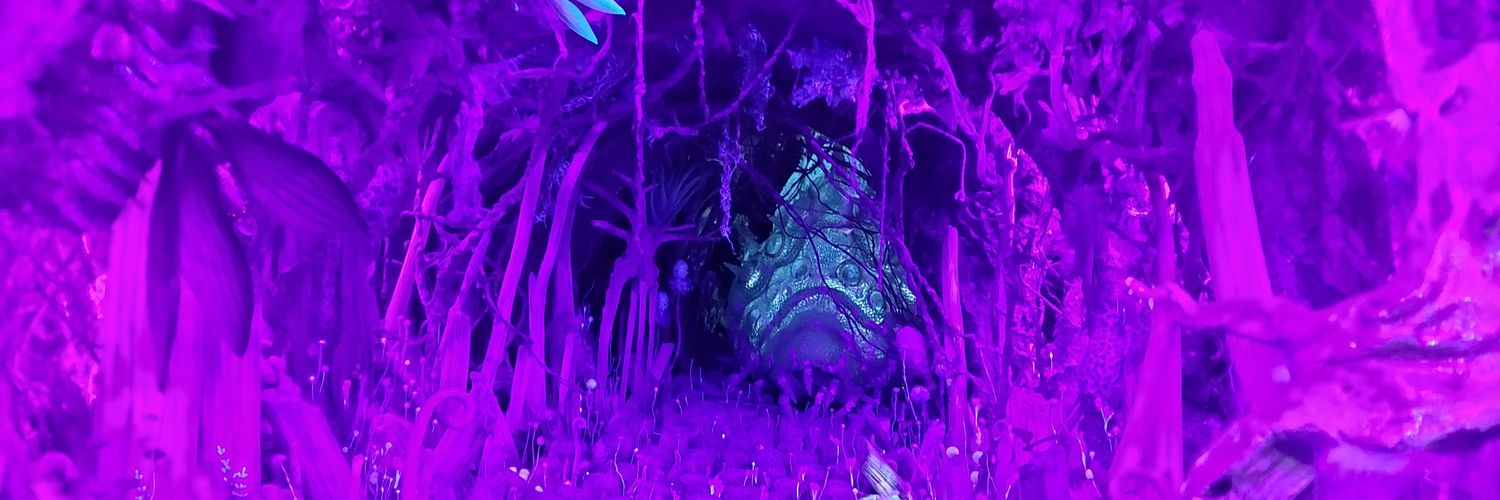 ven12665's profile banner image
