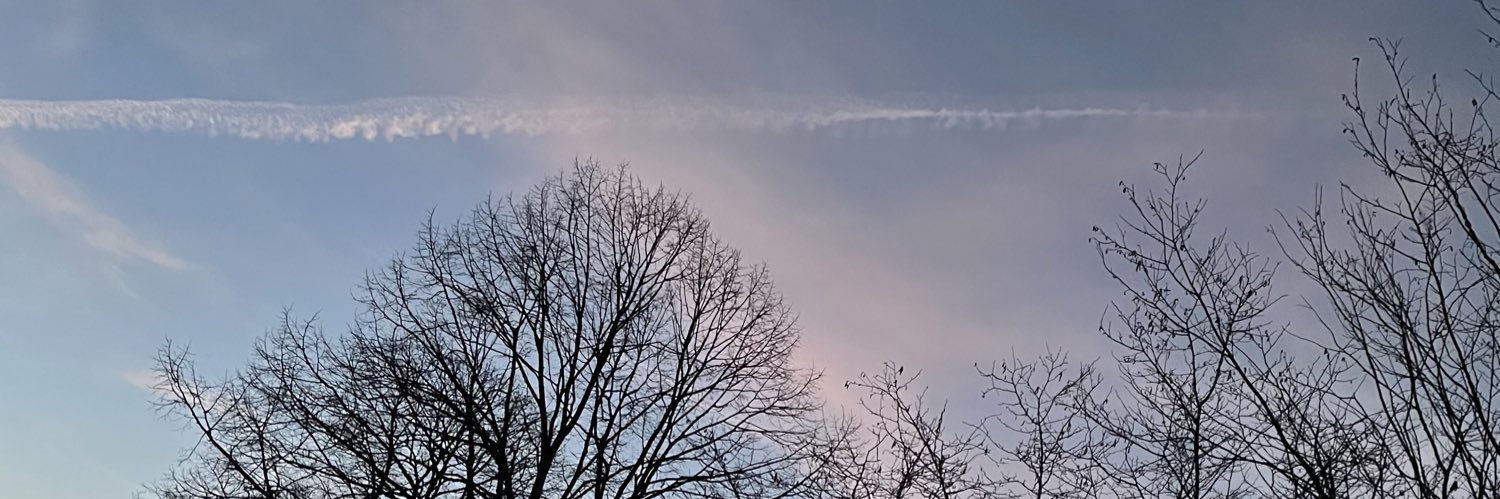 straveey's profile banner image