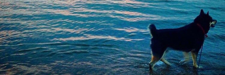 bekahbb's profile banner image
