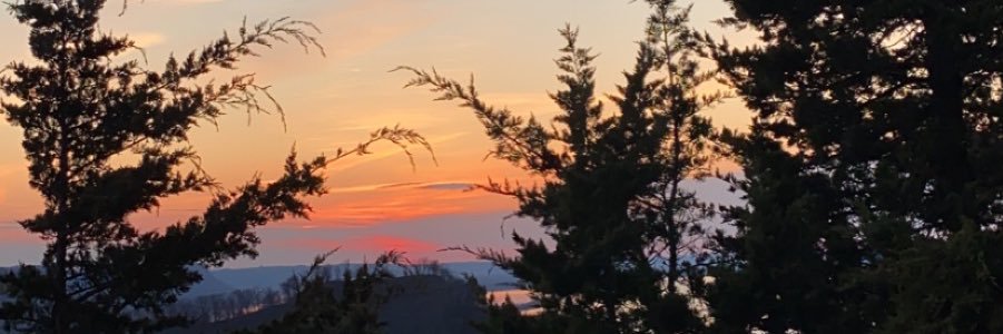 AustinPepy's profile banner image
