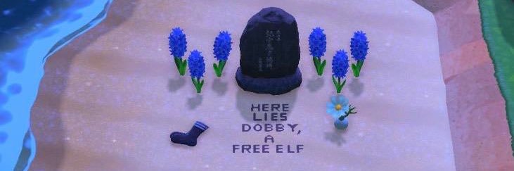 _LilyRoseM's profile banner image
