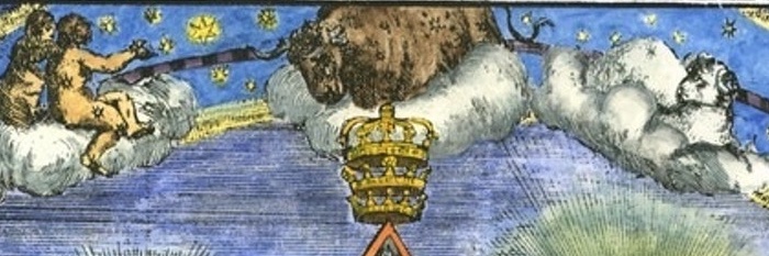 Salxcci's profile banner image