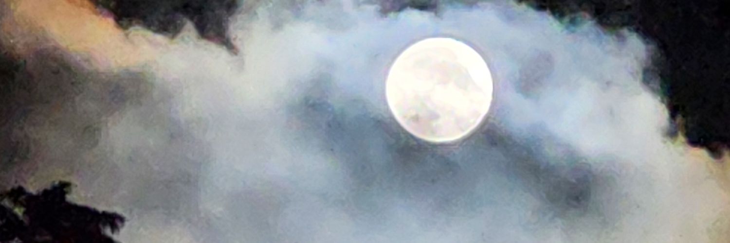 patrick lovie banner