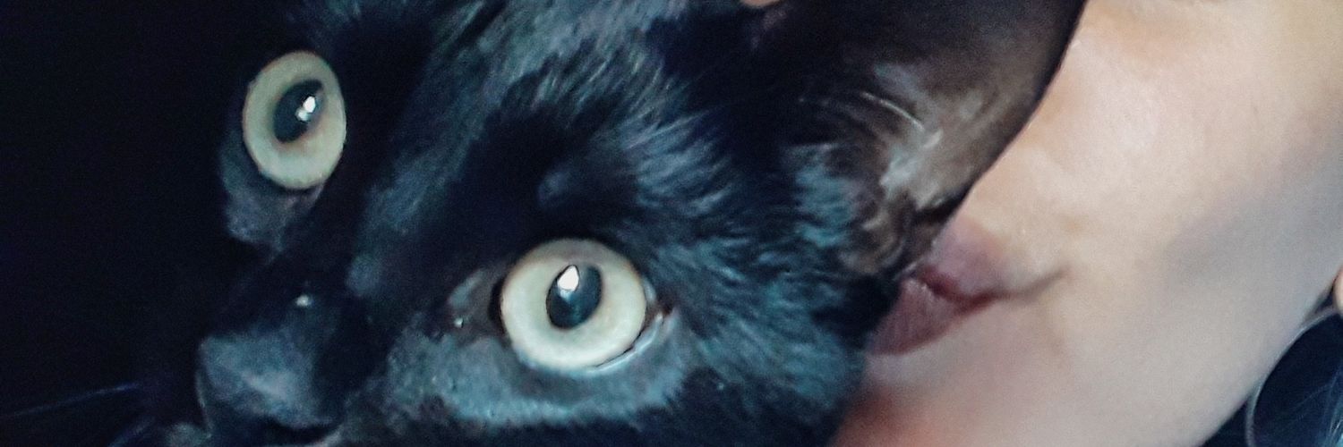 CandeProd's profile banner image