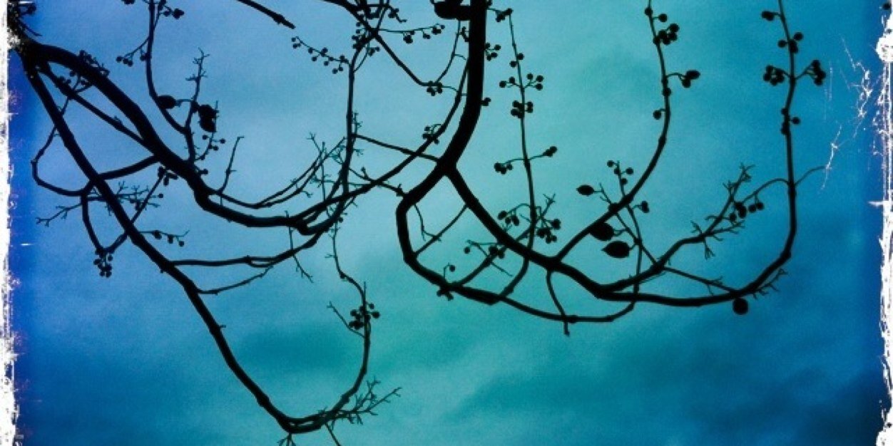 BuroDaan's profile banner image