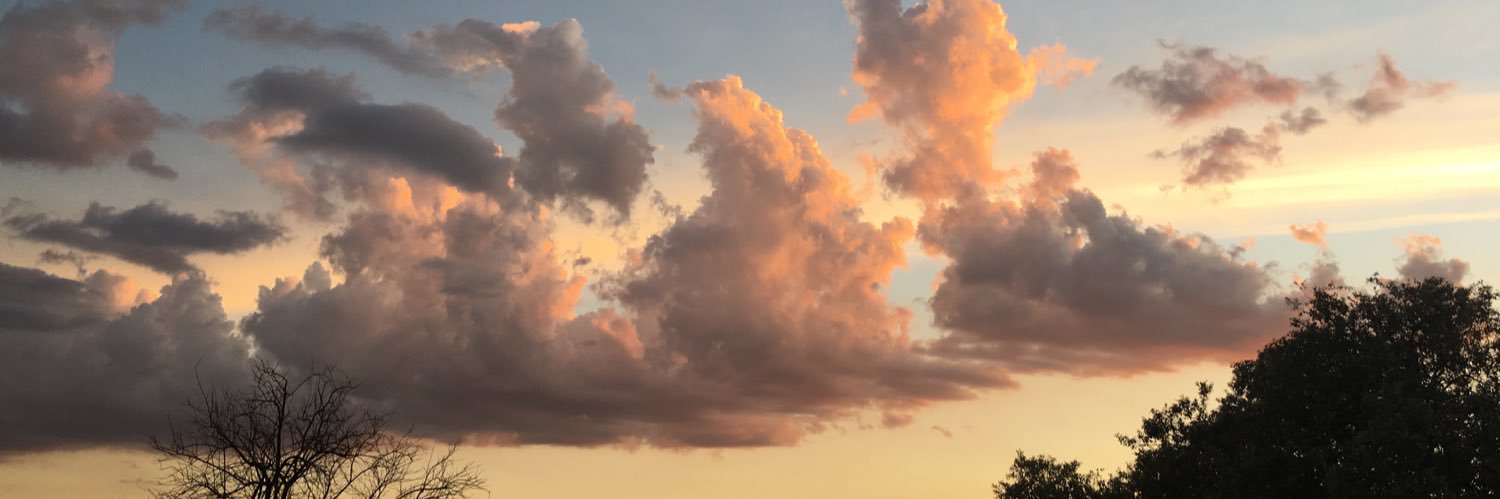 AdrielliPer's profile banner image